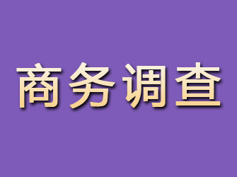 常宁商务调查